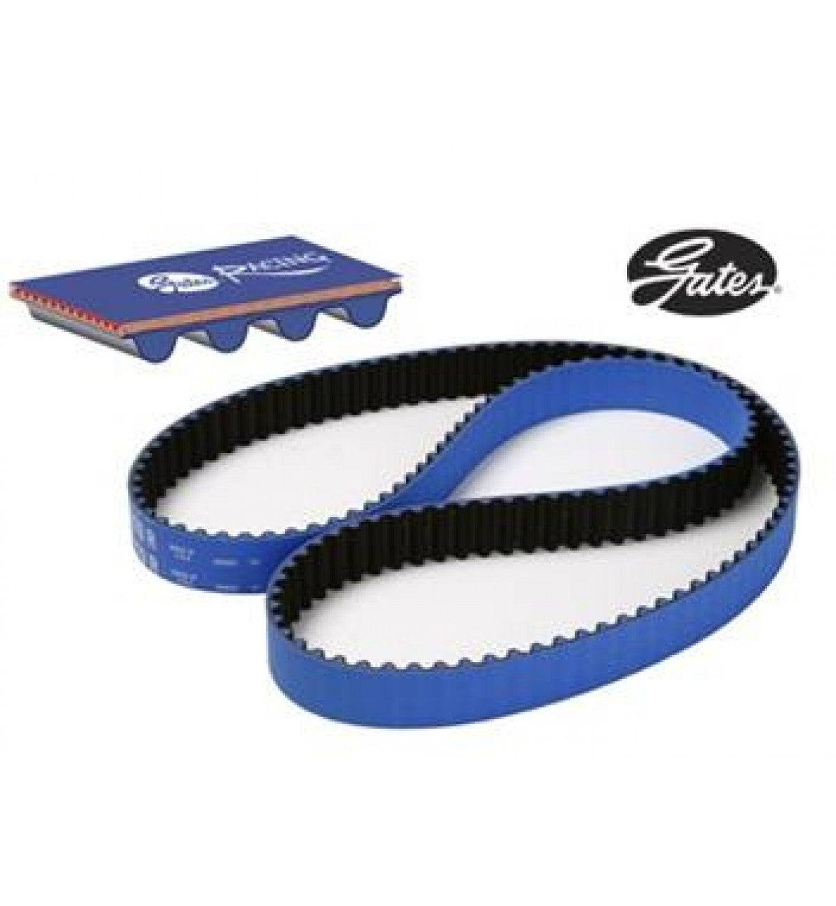 Correia Distribuição Gates Racing RPM  D16