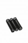 Kit de Molas de Retenção Reforçadas Caixa Blox Racing (motores das séries B/H/F/K)