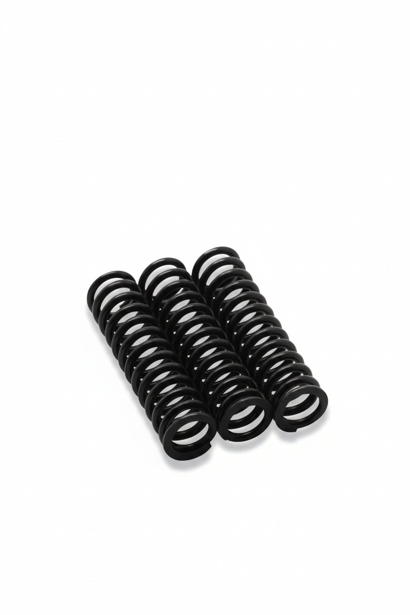 Kit de Molas de Retenção Reforçadas Caixa Blox Racing (motores das séries B/H/F/K)